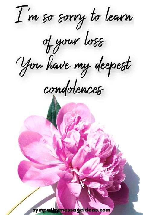 Sorry for Your Loss .